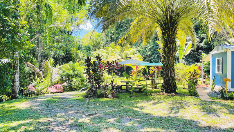 Private Jungle Compound with Modular Home, Guest Cabin & 3 Building Sites in Ojochal, Costa Rica selected