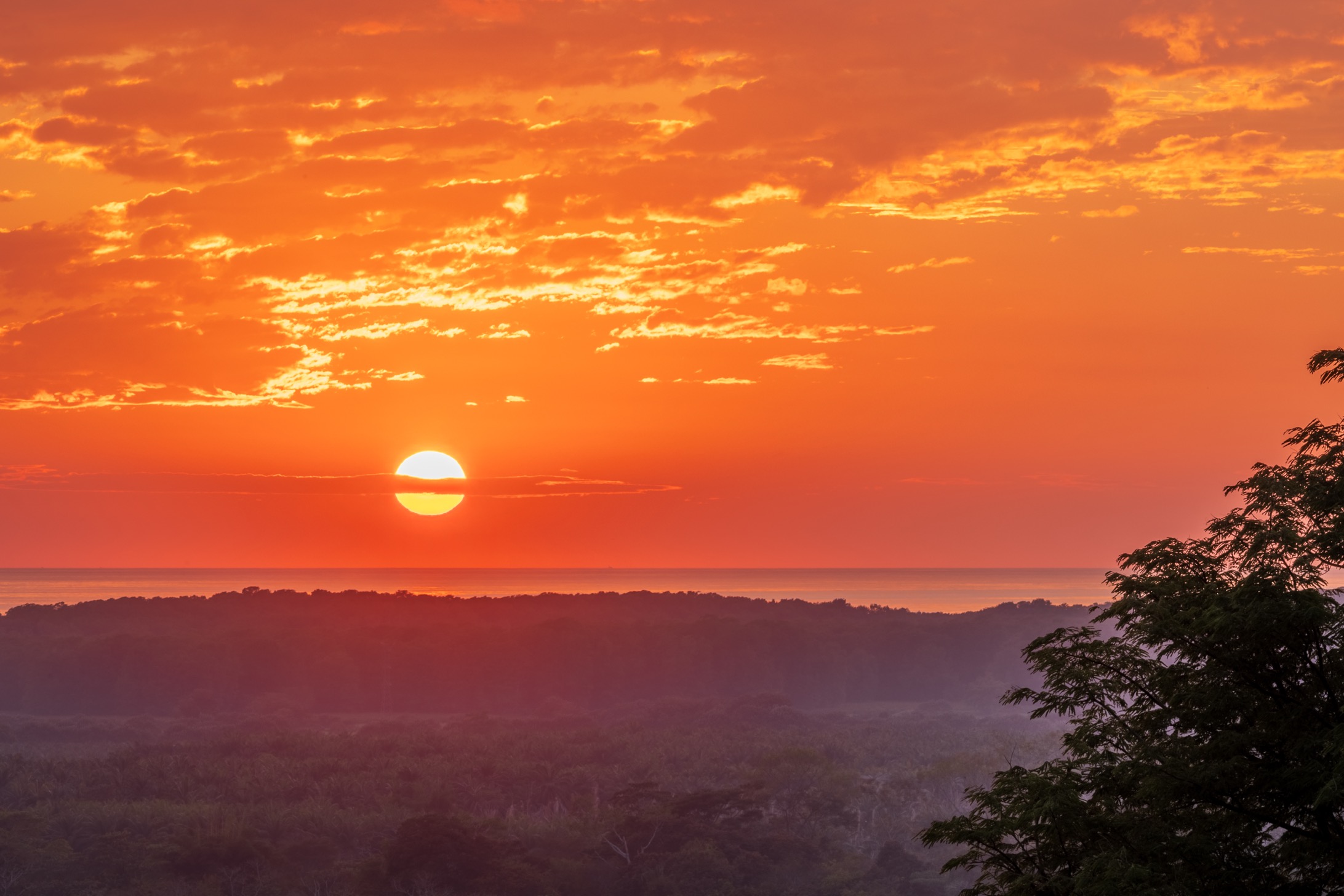 Oceanview Sanctuary of Elegance, Sustainability, and Architectural Mastery selected