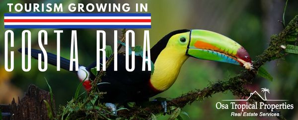 Increases in Flights and Tourism in Costa Rica