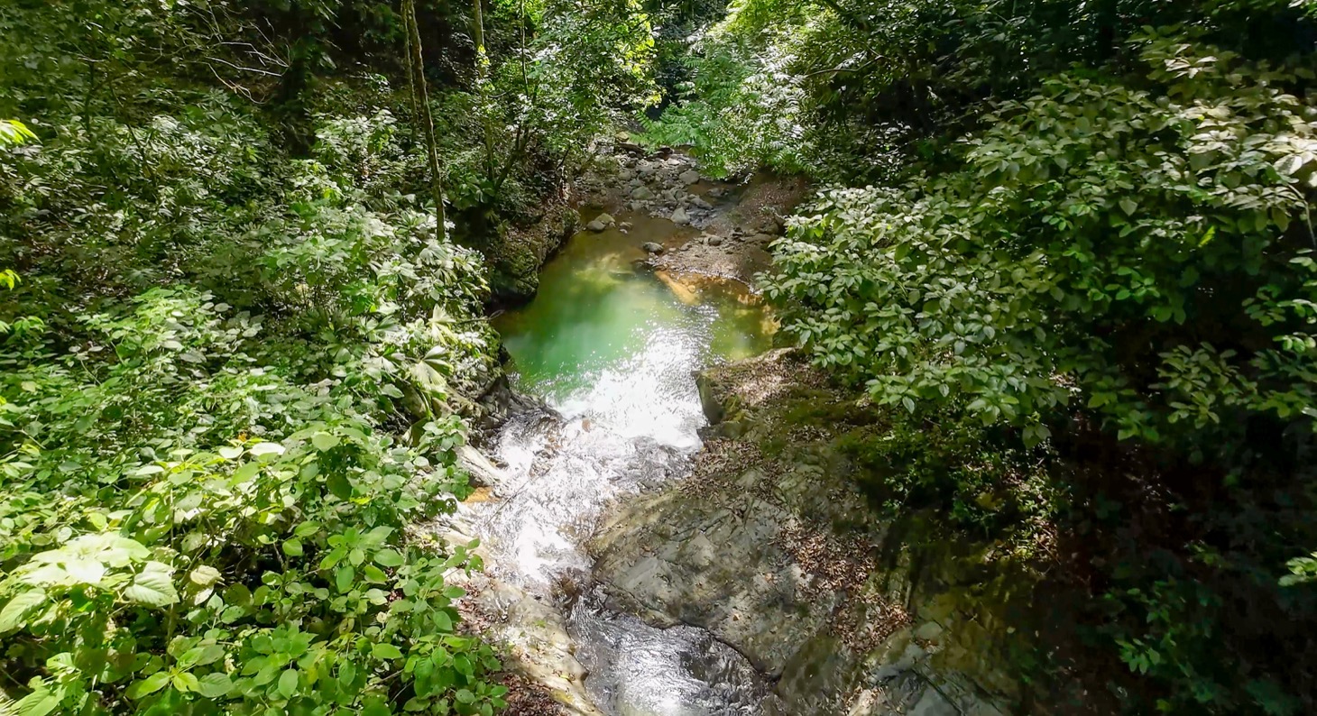 Nature Retreat Estate – Southern Pacific Zone, Costa Rica selected