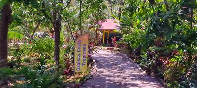 Income Producing Jungle Retreat with 8 Cabinas and Pool in the Heart of Uvita image 3