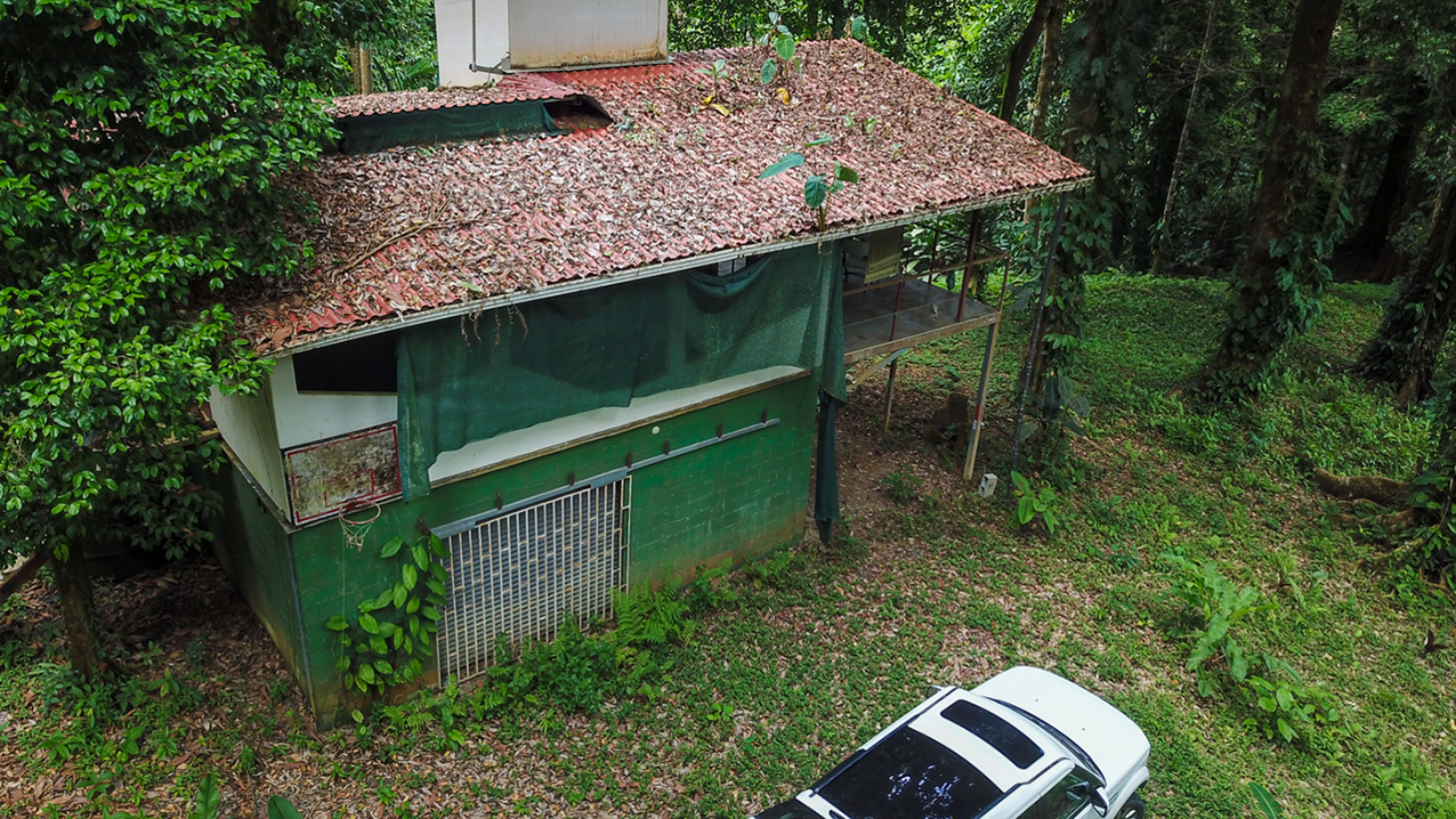 Riverfront Property with Primary Forest Close to Uvita Beaches selected