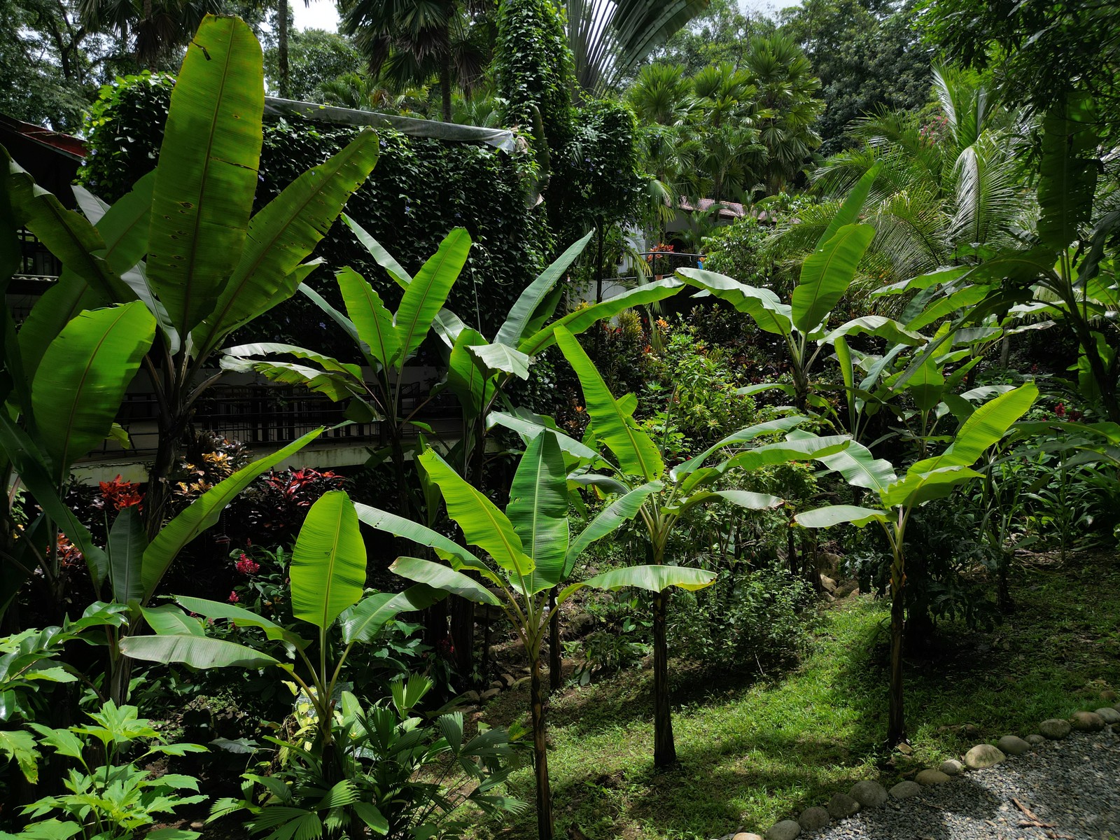 Turnkey Riverside Retreat in Ojochal selected