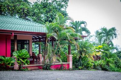 Dual-Income Opportunity Surrounded by Jungle Paradise in Escaleras image 4
