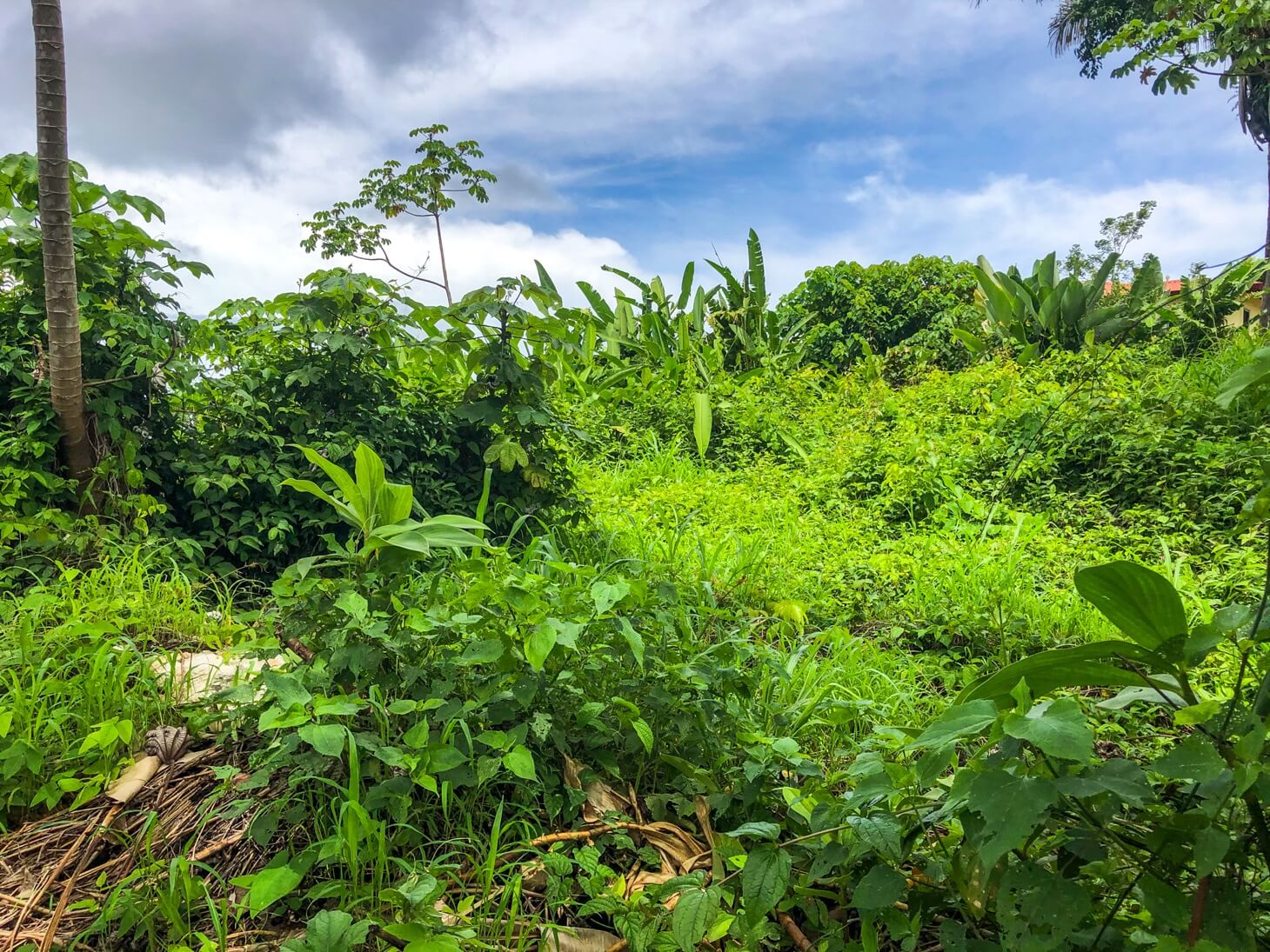 Expansive Ocean View Residential Lot in Chontales selected