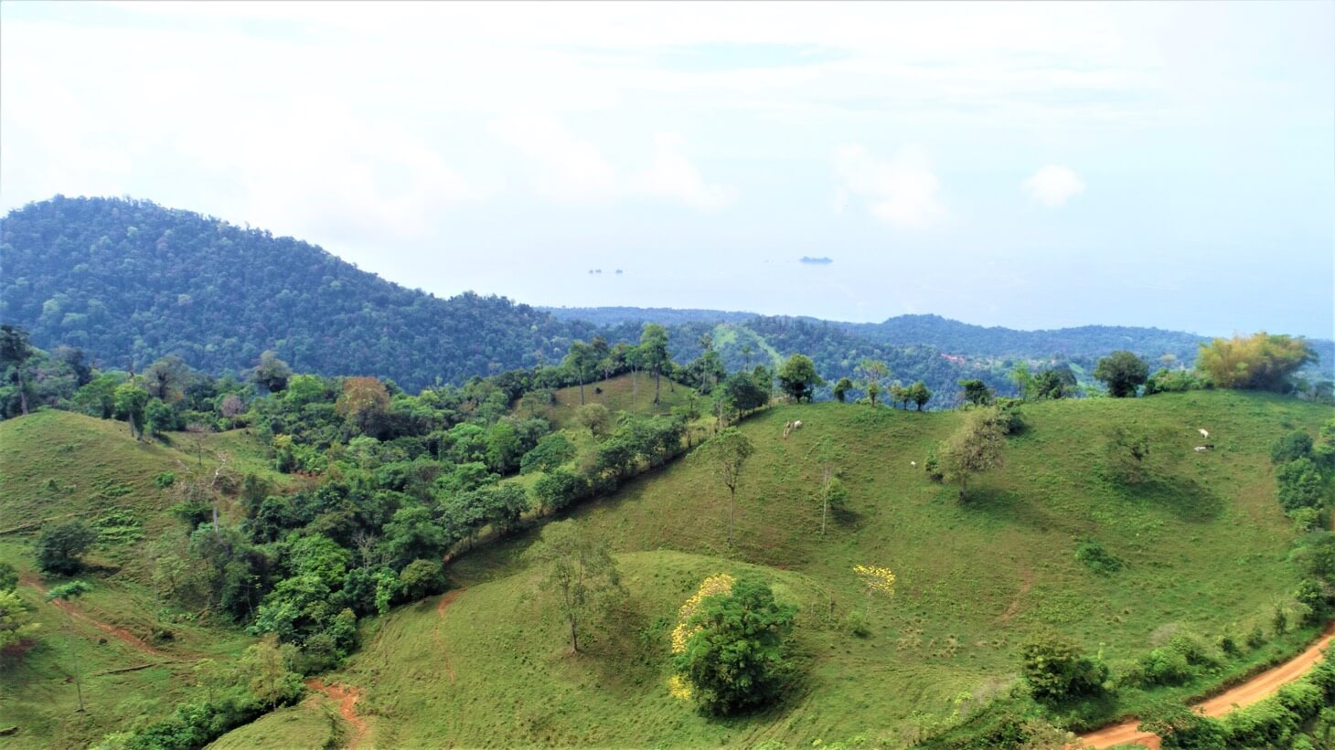 3 Spectacular Ocean View Farms in Uvita selected
