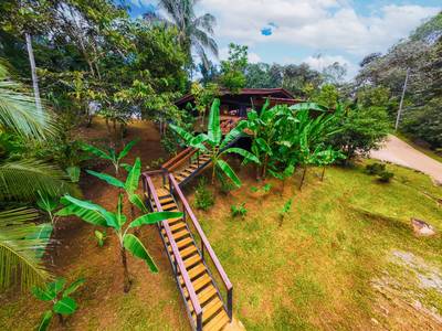 Serene Jungle Home + Guest Cabin on 3 Acres with River Access image 1