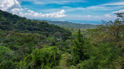 Dream Ocean View Property with Solar Power image 3