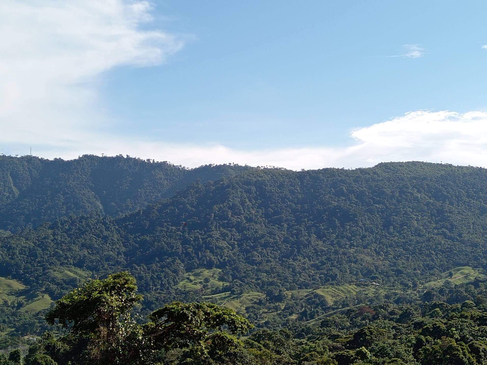 79Acre Farm In Tinamastes, Costa Rica