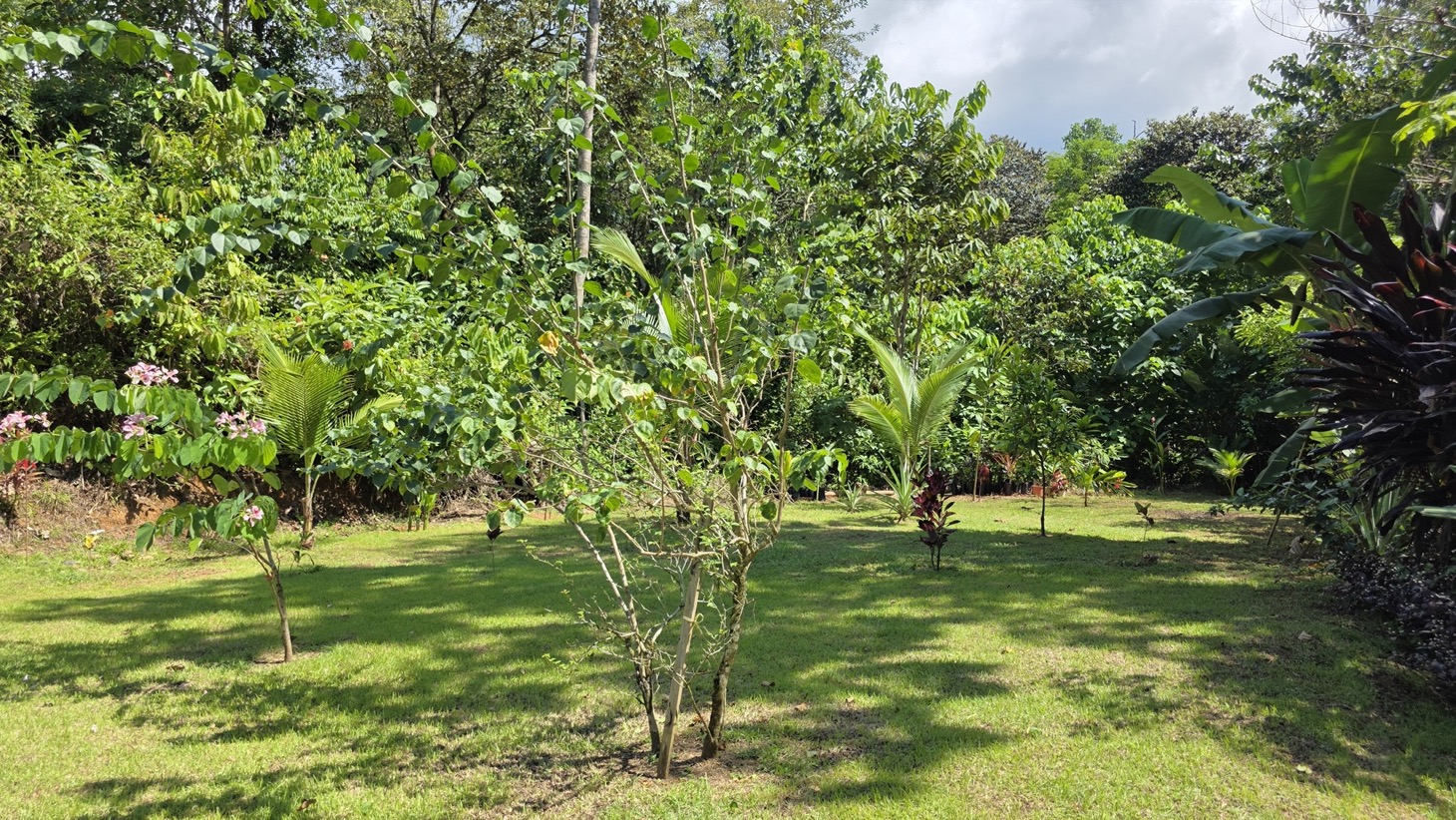 2 Bedroom Solar Home with Creek Frontage selected