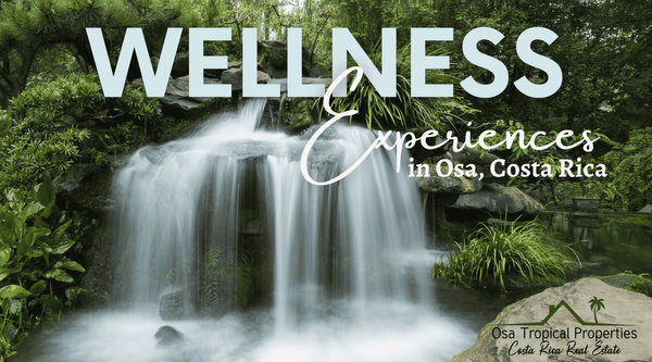 Curative Wellness Experiences in Osa, Costa Rica