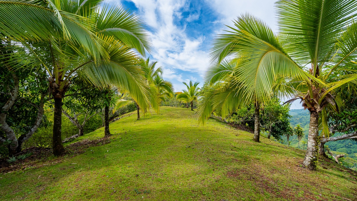 Ocean View Development Property with Waterfall Vista — 14.83 Acres in San Luis de Morete, Near Uvita selected