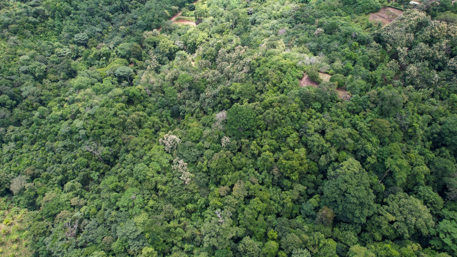 Stunning 16 acre Ocean View Property San Buenas, Costa Rica  selected