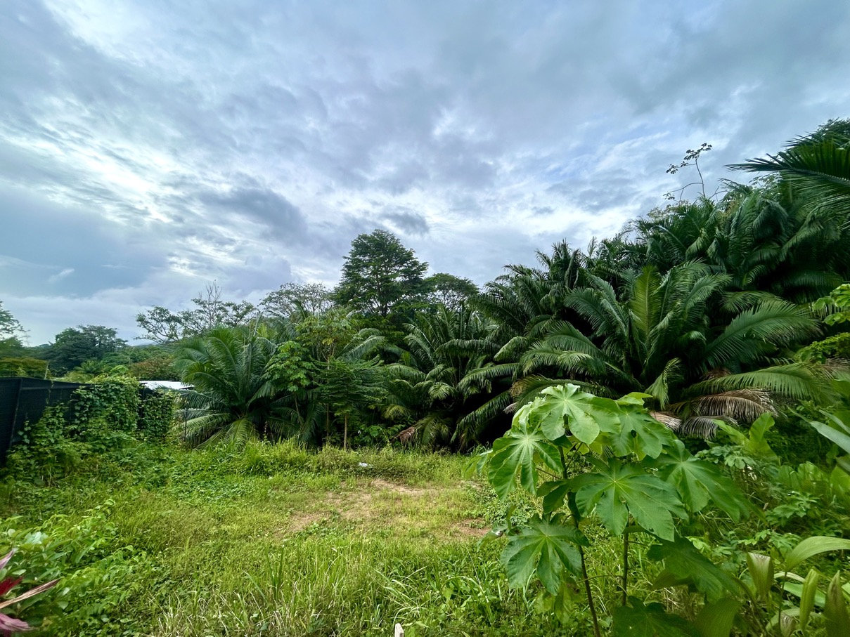 Modern Tropical Living in Uvita – Turn-Key 3-Bedroom Villa in Jardines del Morete selected