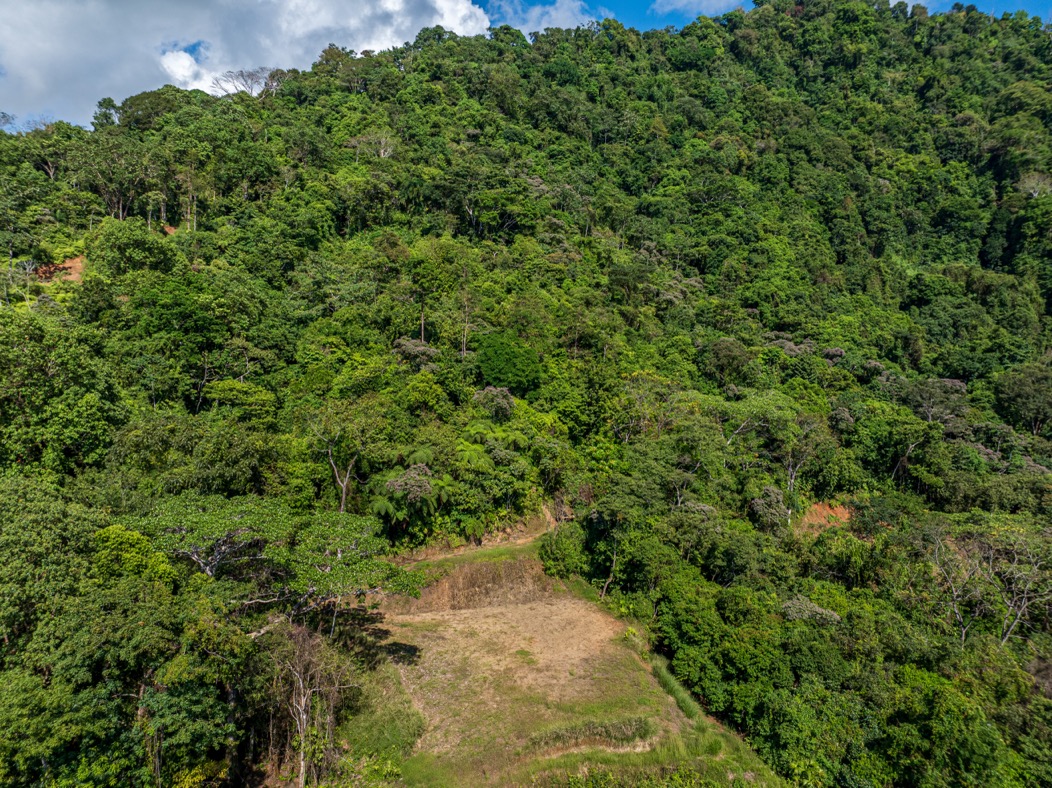Visionary Ocean-View Estate with Development Potential Near Playa Linda selected