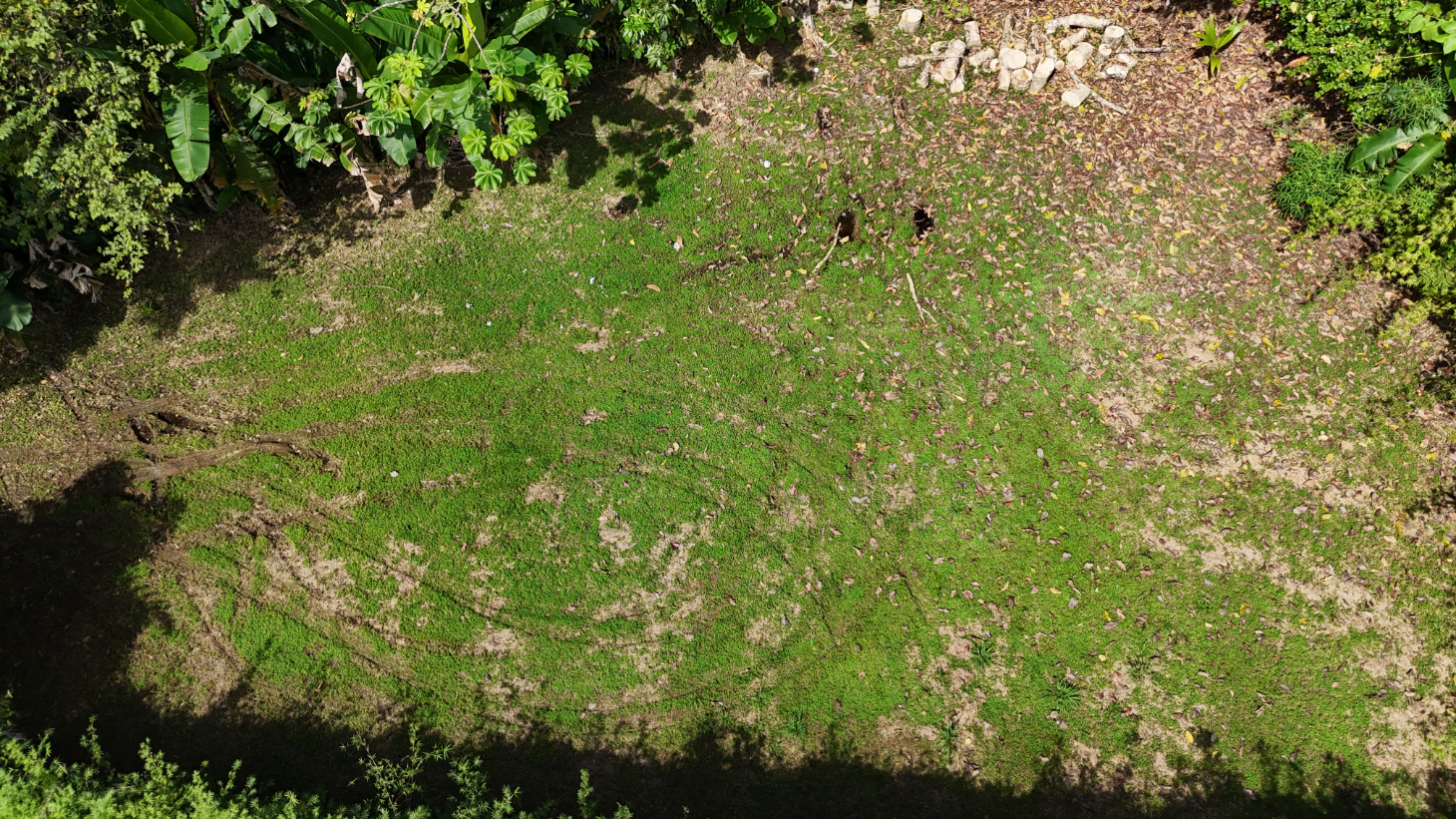 Build-Ready Ojochal Lot with Legal Water, Power & Private Setting selected