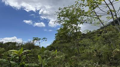 Jungle Lot with Multiple Building Sites, Legal Water, Electricity on Public Road with Big Valley & Mountain Views near San Josecito Costa Rica image 2