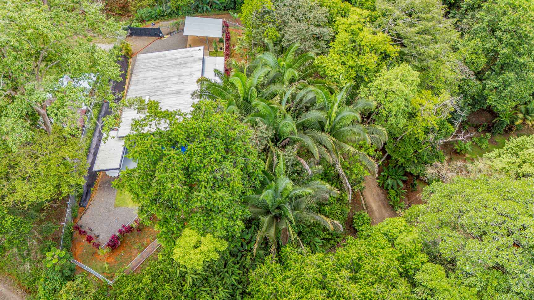 Jungle-Immersed Modern Retreat with Riverfront, Pool, and Expansion Potential in Cinco Ventanas selected