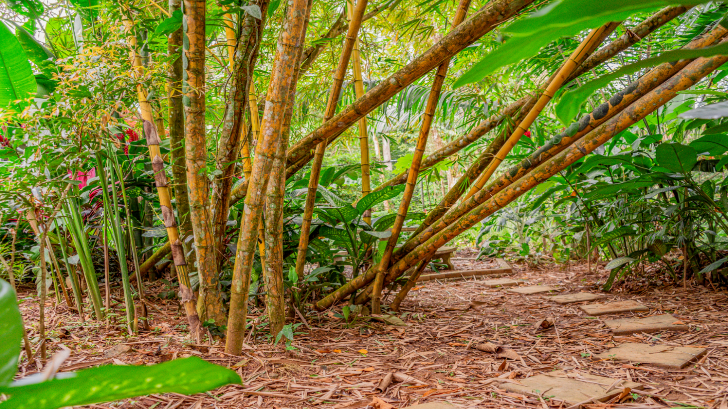Tropical 4-Bedroom Home for Sale in Uvita | Pool & Airbnb Income selected