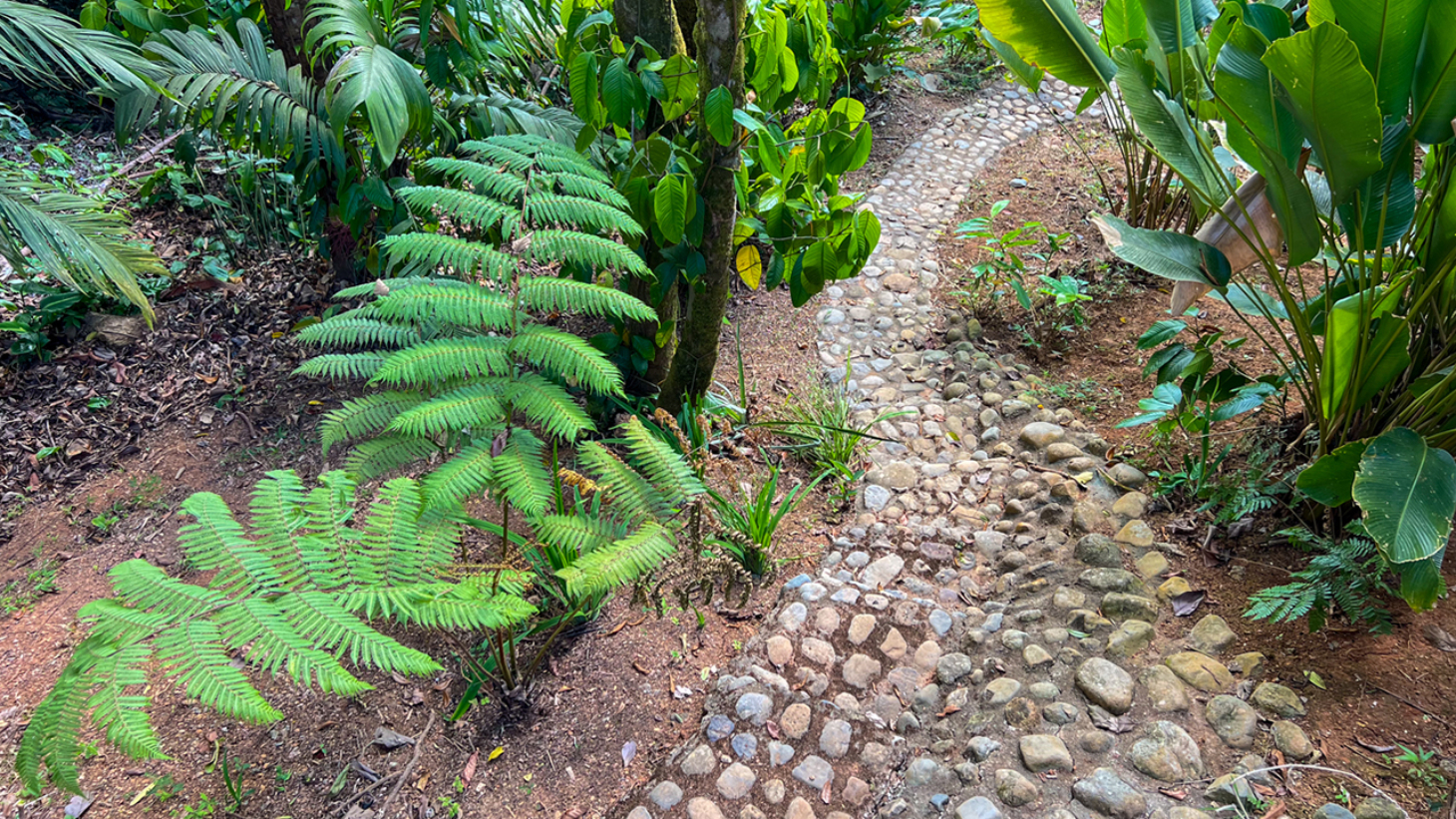Rainforest Retreat with a Forested Setting and Good Rental History in Lagunas selected