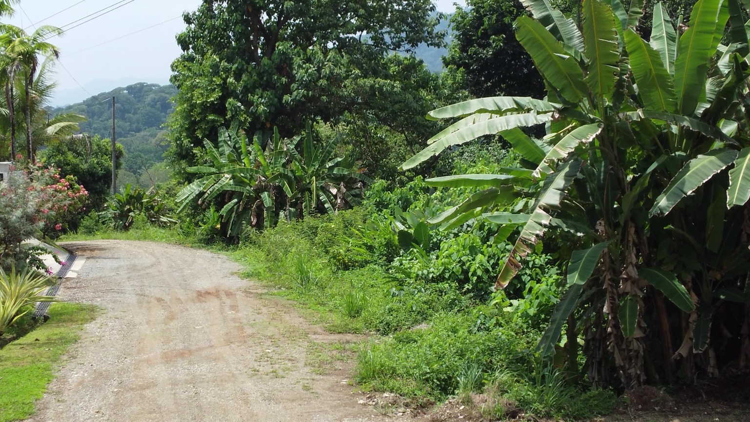 1-Acre Ready-to-Build Jungle Lot in Ojochal – A Private Oasis in Phase 8 selected