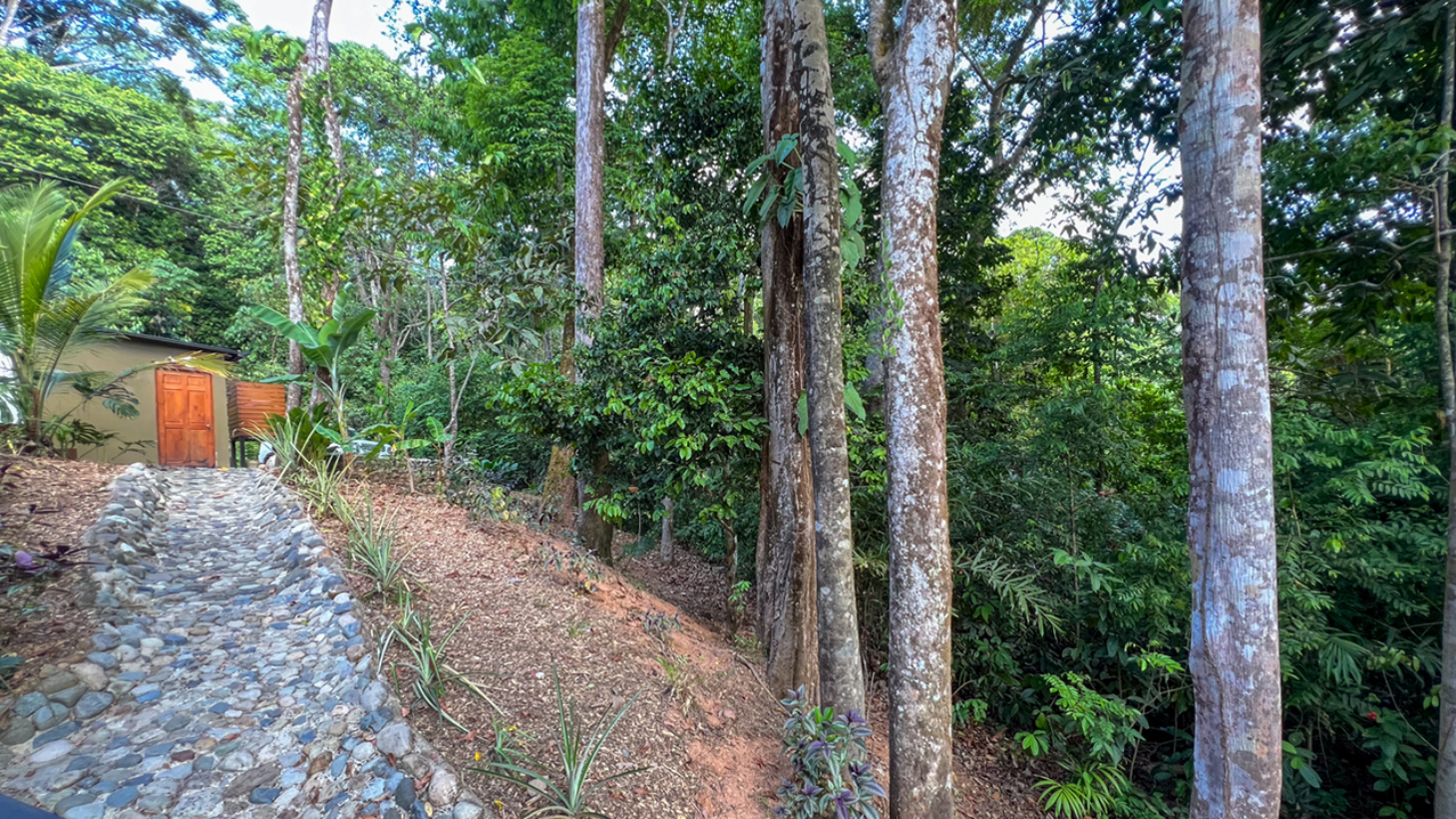 Rainforest Retreat with a Forested Setting and Good Rental History in Lagunas selected
