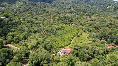Premium 9.3-Hectare Farm for Sale in Ojochal, Costa Rica image 3