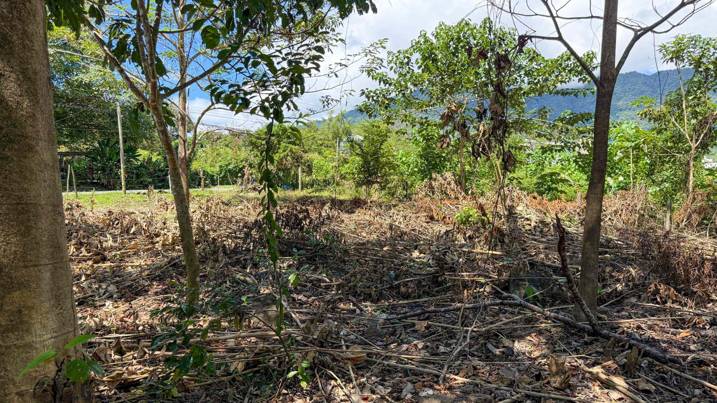 Easy-Access Building lot with Paved Road Access & All Utilities Available on a Flat Half-Acre in Ojochal Costa Rica selected