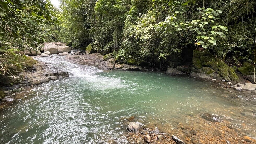 145 Acres With Swimming Holes, Waterfalls And Ocean Views selected