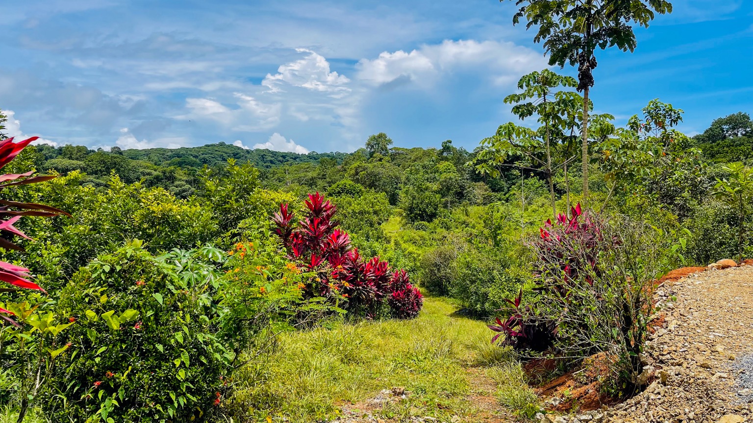 Premium 9.3-Hectare Farm for Sale in Ojochal, Costa Rica selected