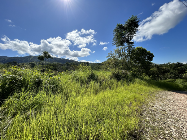 Exclusive Two-Lot Oasis in Gated Paradise – Build Your Dream Estate selected