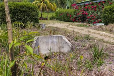 Ready-to-Build, Centrally Located 0.38-Acre Ojochal Lot with Mountain Views image 5