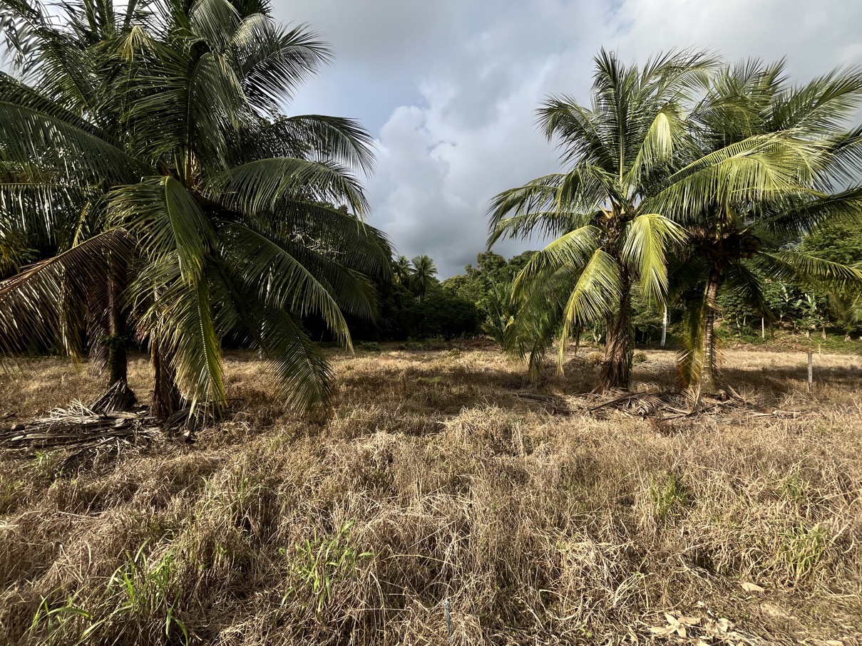 14.2 Acre Prime Commercial Property in Uvita – Highway Frontage and Unlimited Potential selected