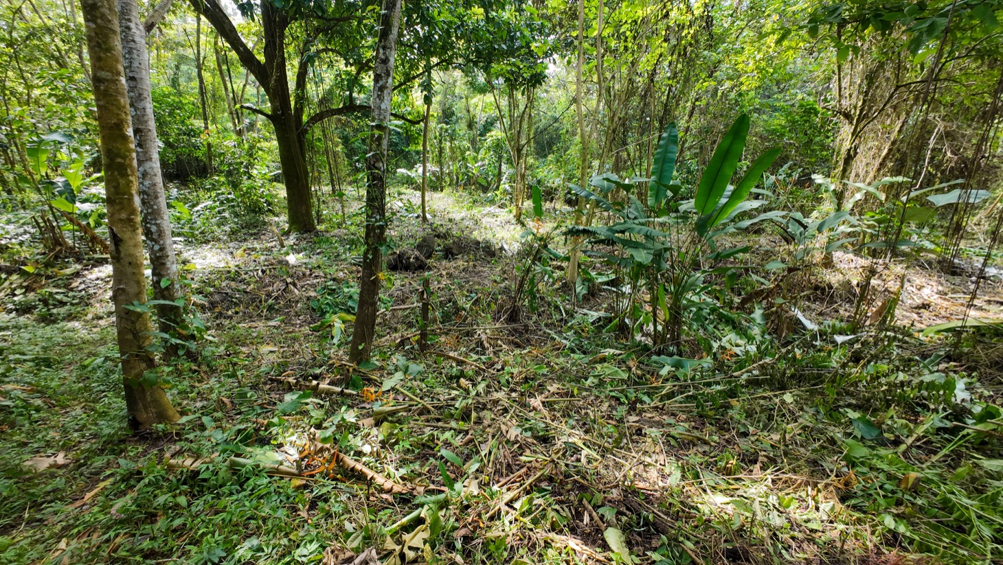 Riverfront Property for Sale in Ojochal, Costa Rica – Nearly 1 Hectare of Flat, Buildable Land selected