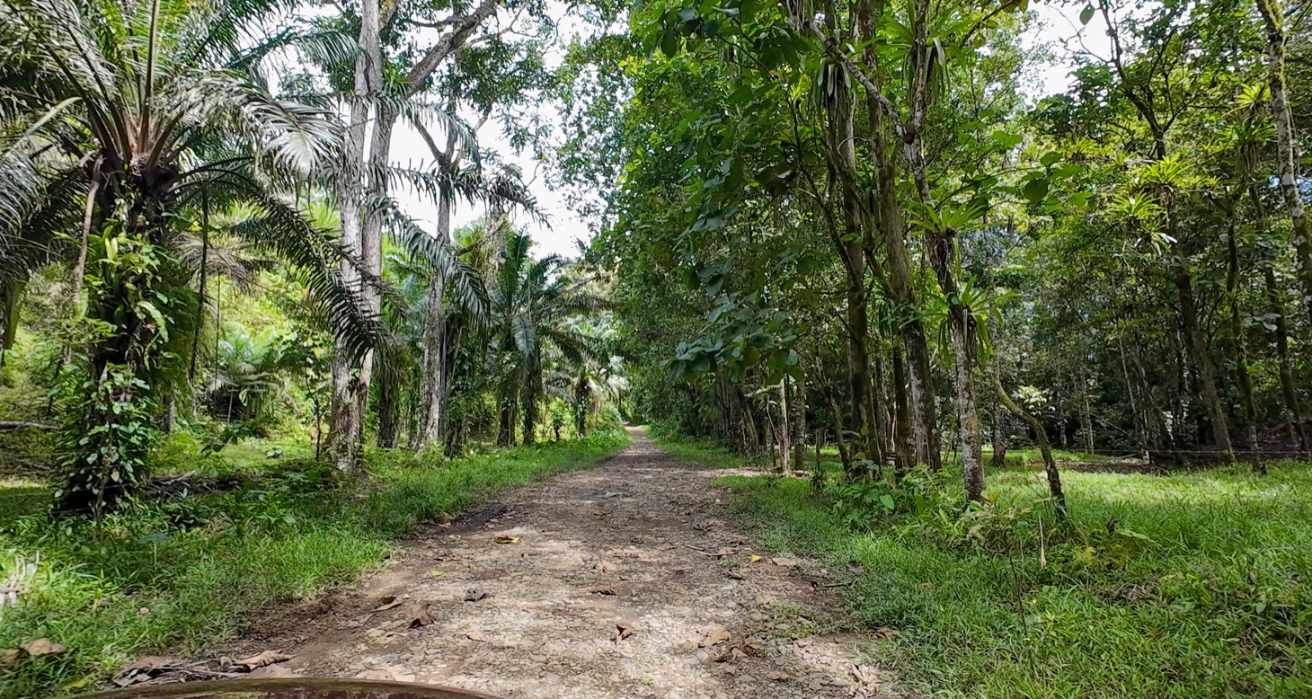 Stunning 16 acre Ocean View Property San Buenas, Costa Rica  selected