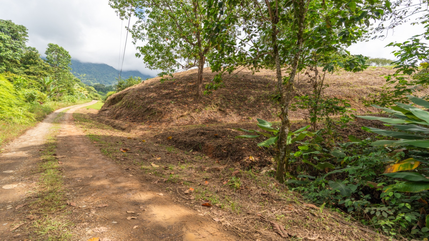 3-Acre Development Opportunity in Phase 5 Gated Community, Ojochal selected