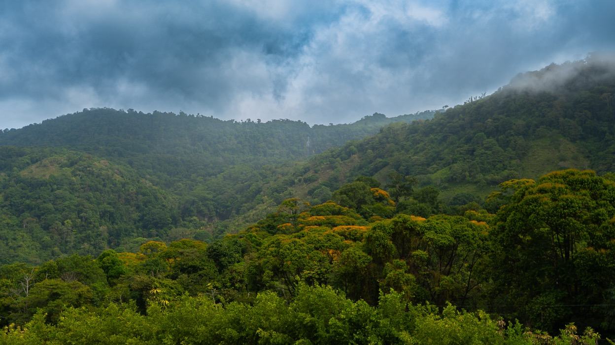 Ocean View Development Property with Waterfall Vista — 14.83 Acres in San Luis de Morete, Near Uvita selected