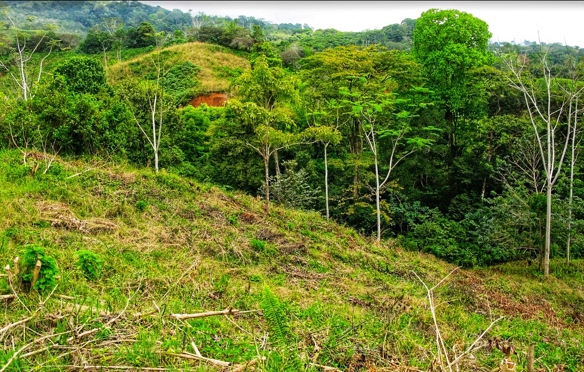 Exclusive Two-Lot Oasis in Gated Paradise – Build Your Dream Estate selected