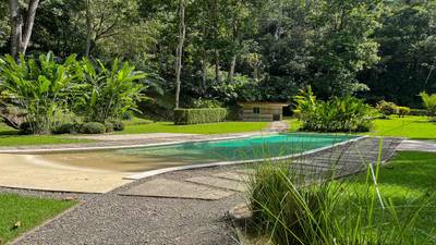 Waterfall Home in Private Community Affordable Jungle Home image 5