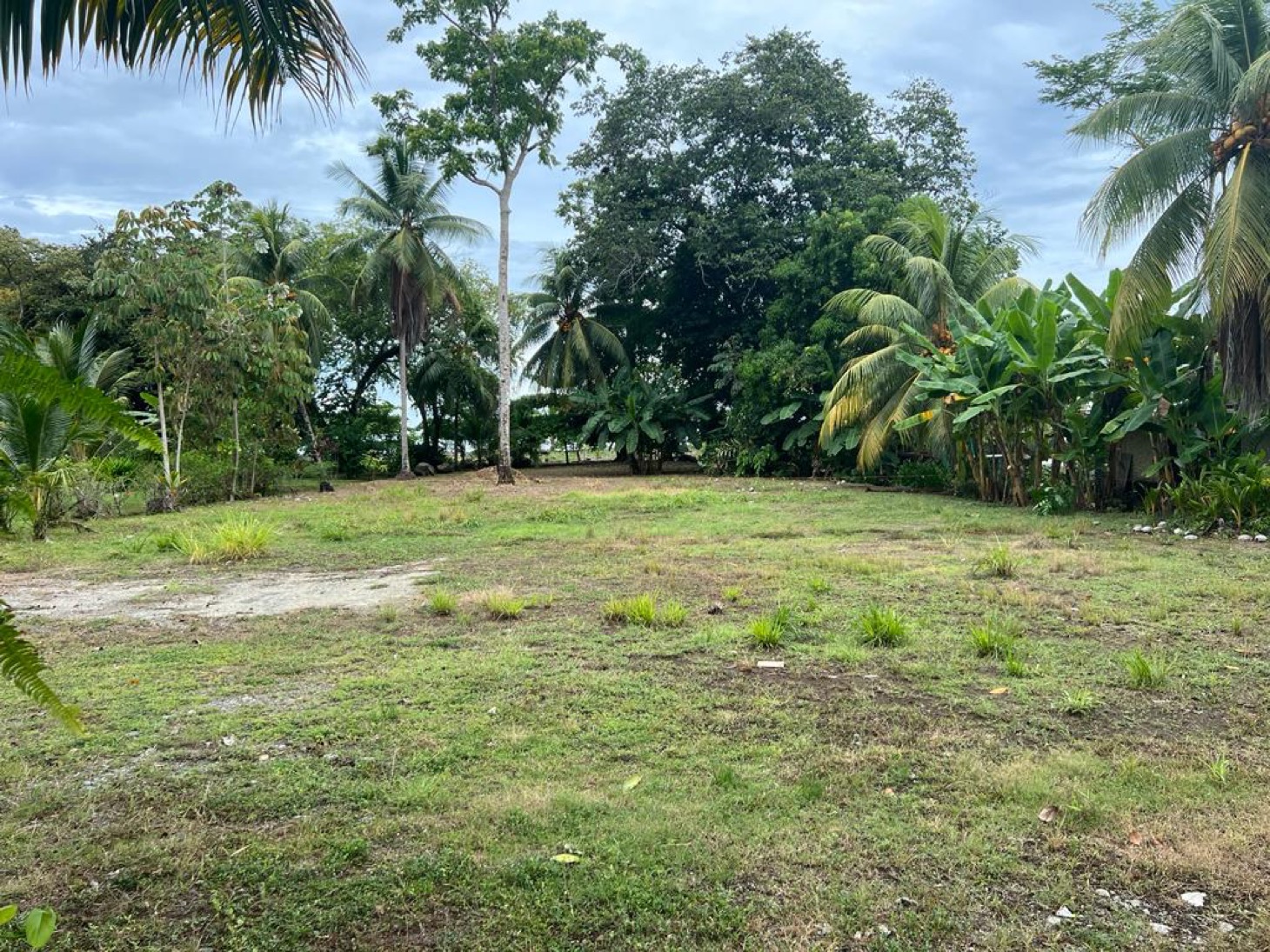 Highway Frontage Coastal Property with Residential & Business Potential selected