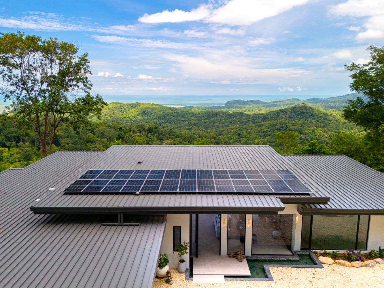 An Epic Masterpiece Above the Jungle Canopy selected