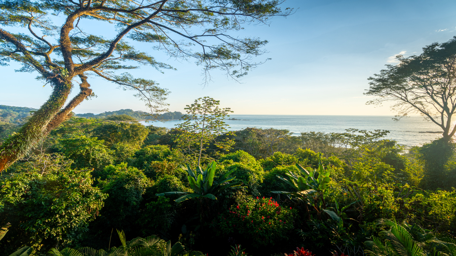 Canto Del Mar, Villa 3, Front Ridge Full Sunset Ocean and Jungle Views! selected