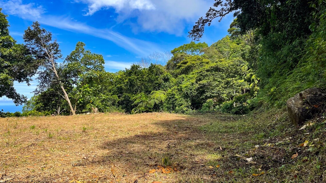 Whale's Tail and Ocean View lot for Sale in Costa Verde, Escaleras, Costa Rica selected