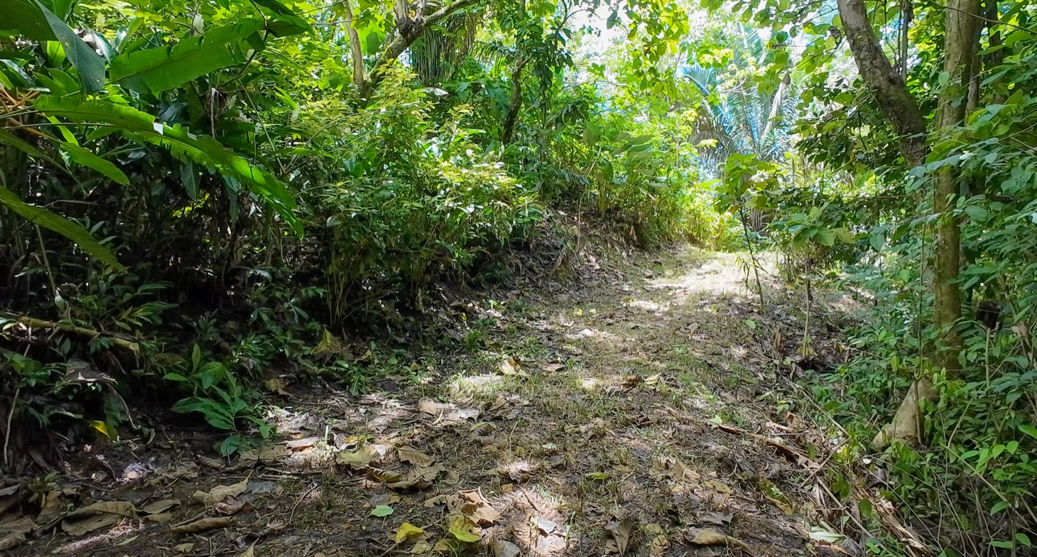 Stunning 16 acre Ocean View Property San Buenas, Costa Rica  selected