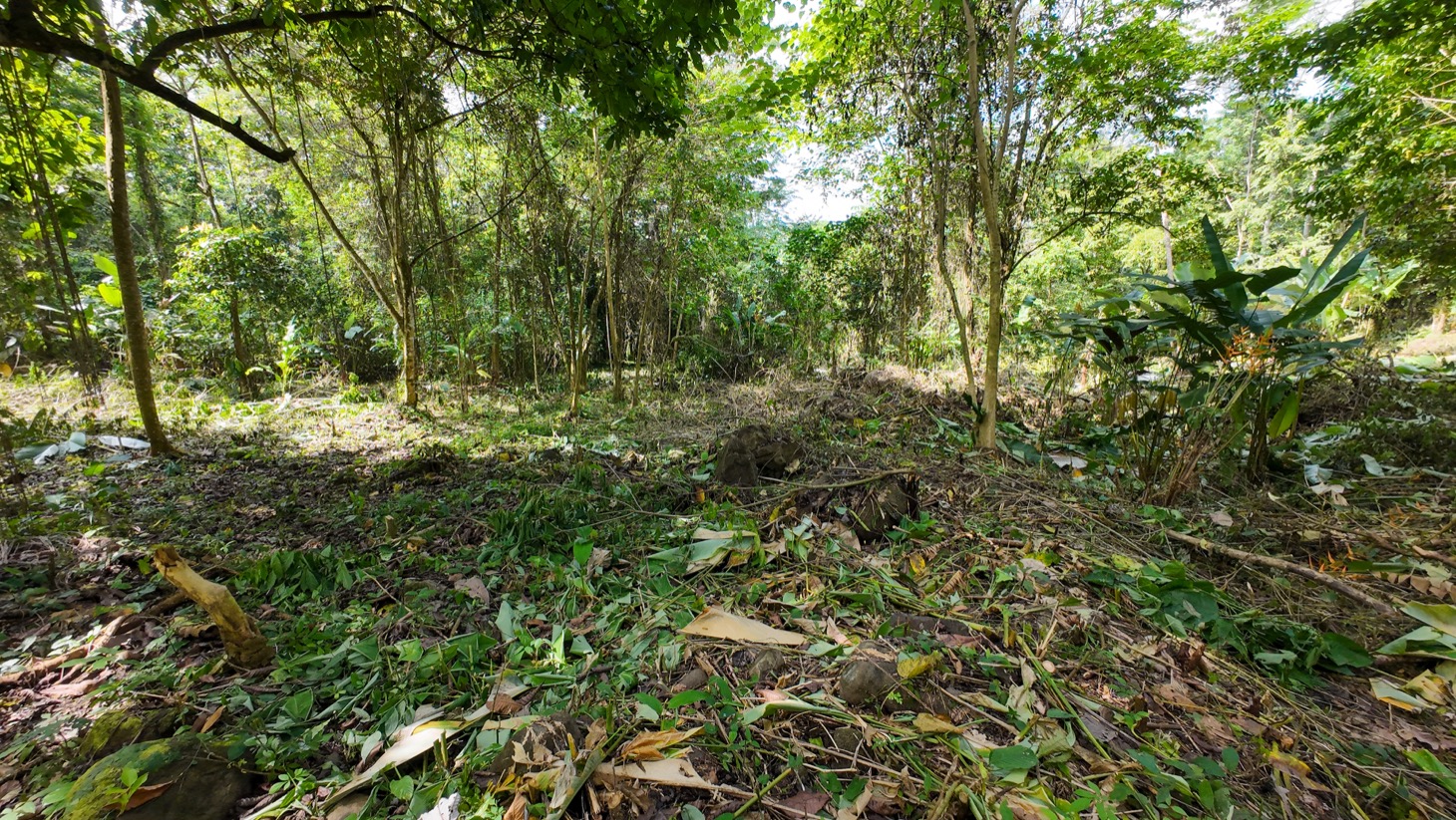 Riverfront Property for Sale in Ojochal, Costa Rica – Nearly 1 Hectare of Flat, Buildable Land selected