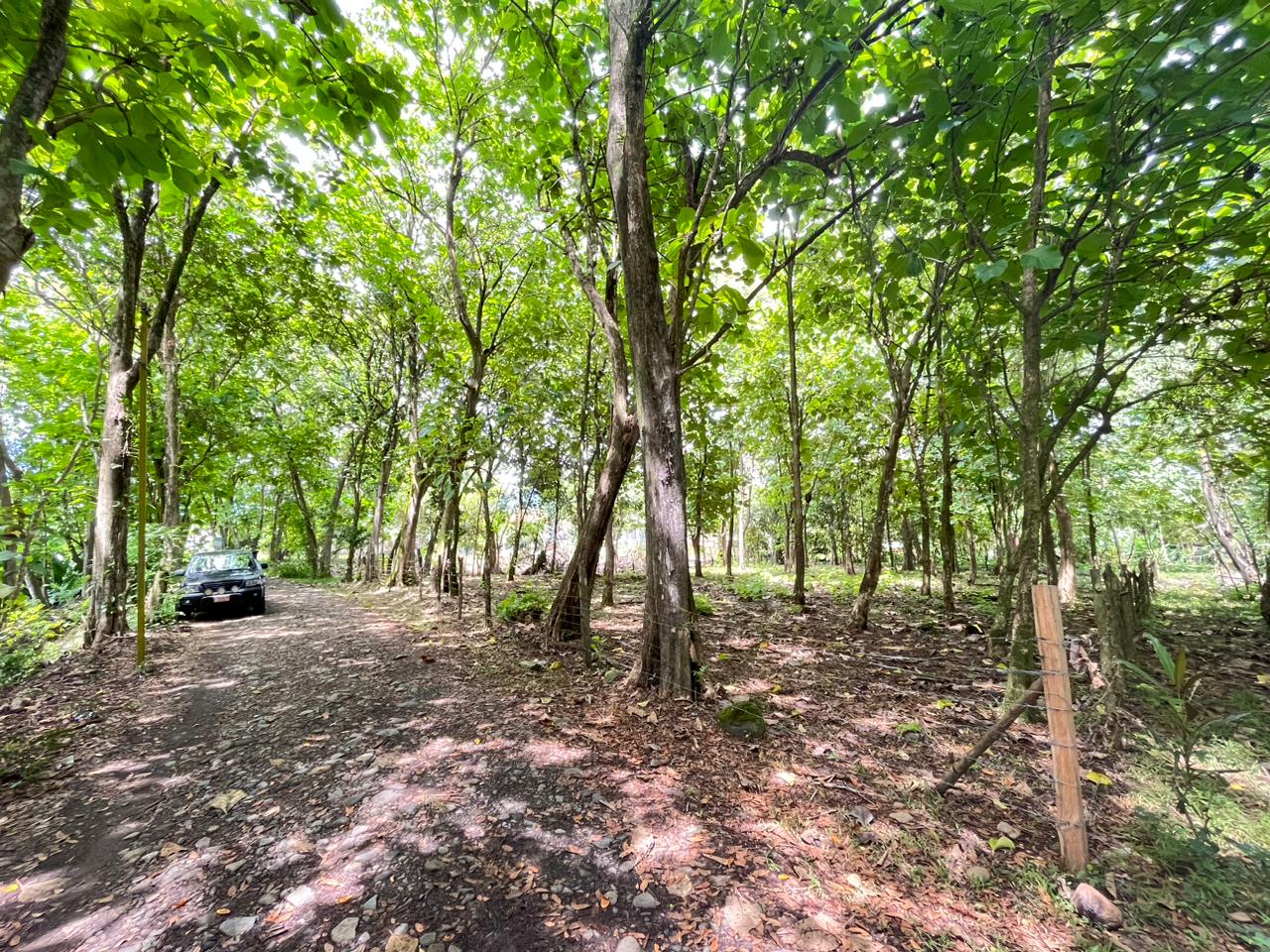 Prime 0.37-Acre Build-Ready Lot Steps from Marino Ballena National Park in Uvita selected