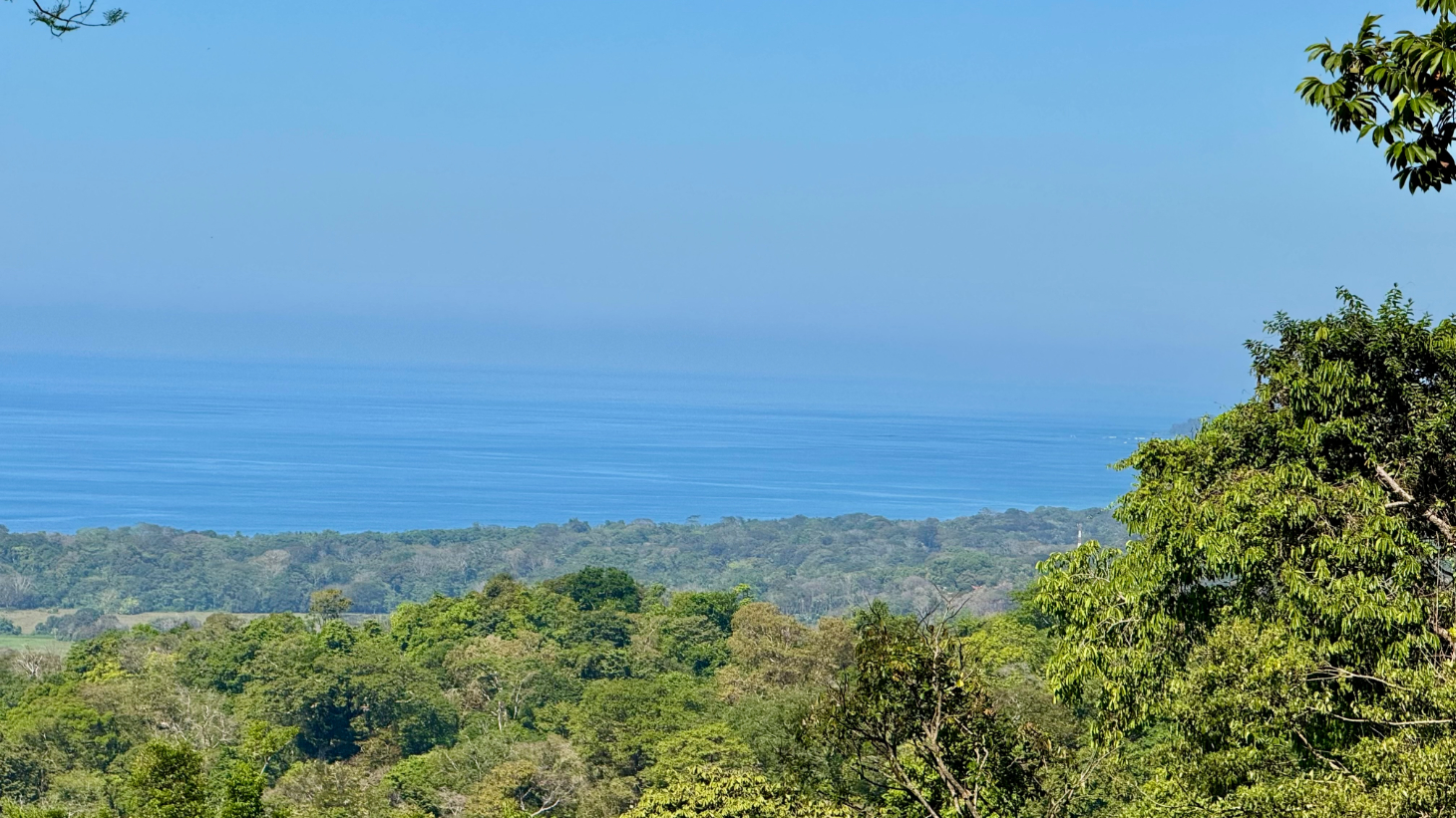 Unique Opportunity, Panoramic Ocean Views of the Whale's Tail Beach! selected