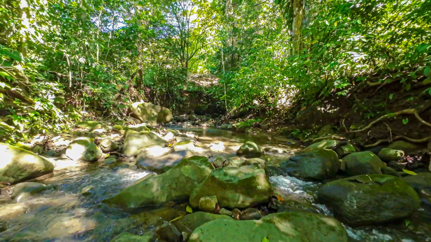 Development Parcel Central Uvita with River! selected