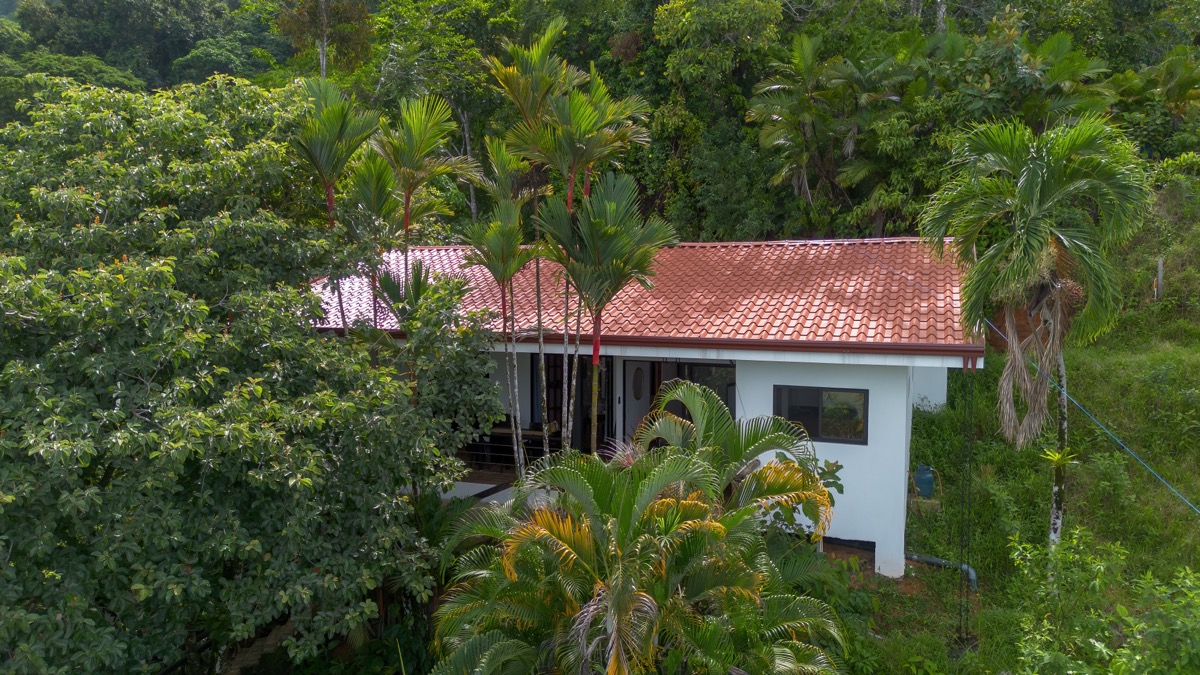Dual-Income Opportunity Surrounded by Jungle Paradise in Escaleras selected