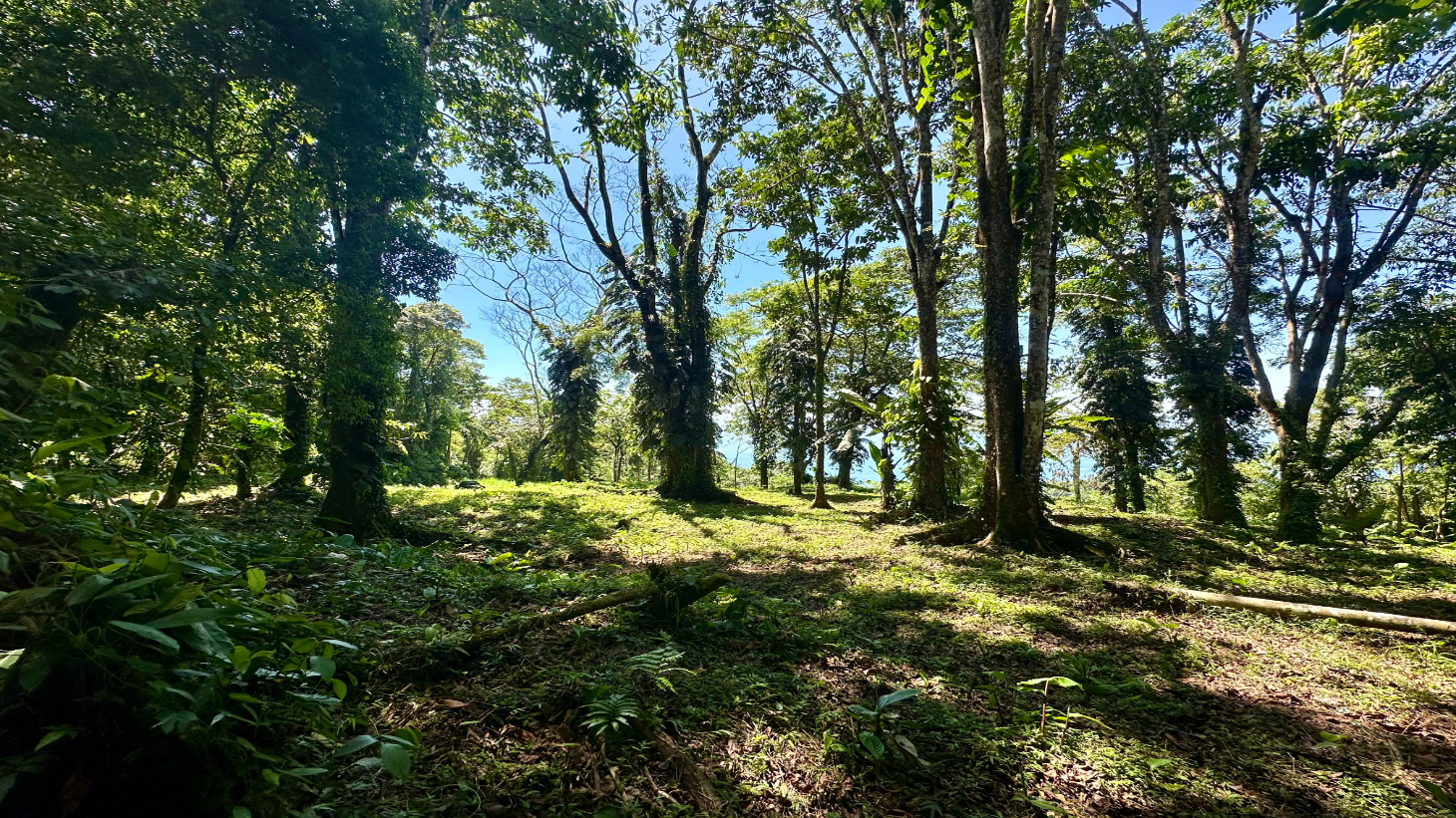 Exclusive 5.80 acres Ocean View Estate Lot in Costa Verde Estates – Escaleras selected